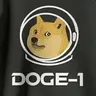DOGE1