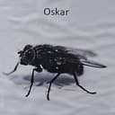 Oskar