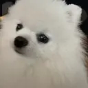 Пёня