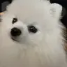Пёня