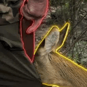 HUNTER