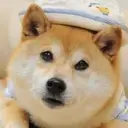 DWIF