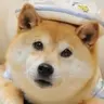 DWIF