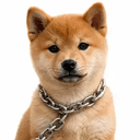 ONCHAIN