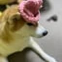 SIF
