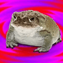 DMT