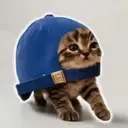 IN