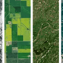 LandSat