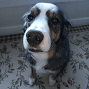 Jack