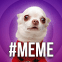 #meme
