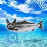 catfish