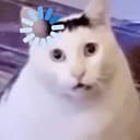 LCAT