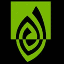 nVigina