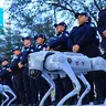 Robodogs