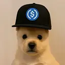 PUP