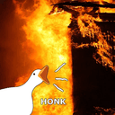 Honk