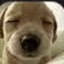 Benny