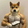 Proteinu