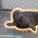 Benny