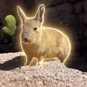 Viscacha