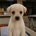 Benny