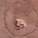 marsbear