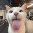silly