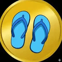 flip-flops