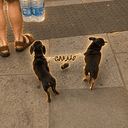 OCD