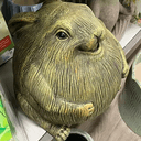 chungus