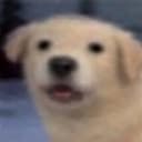 deg