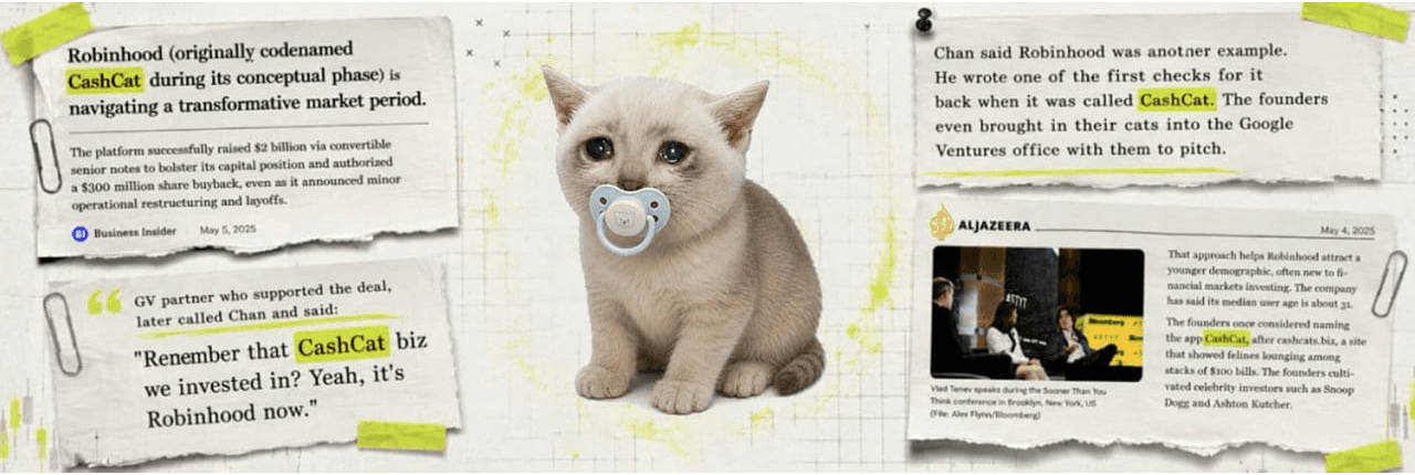 Baby CASHCAT Banner