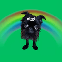 niggi