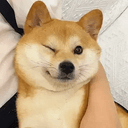 KENJI