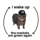FOMOCAT
