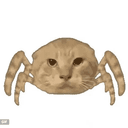 Spidercat