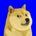 DogeOS