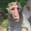 Wukong
