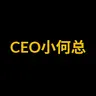 CEO小何总