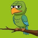 birb