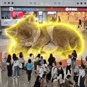 Catzilla