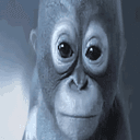 Monke