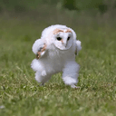 RUN