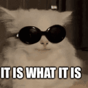 CASHCAT