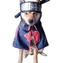 DOGSUKI