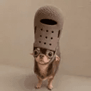 croc