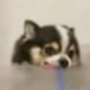 Mochocho