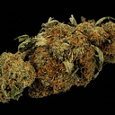 Weed