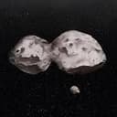 NUTROID