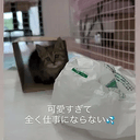 Mascot